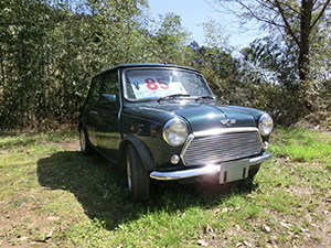 中古車代行販売